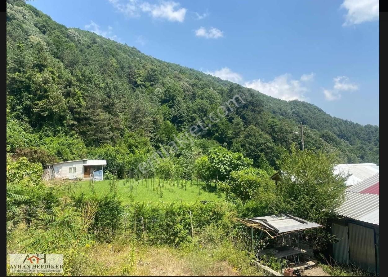 Ayhan Hepdiker Den Geyve Nuriosmaniyede 18000 M2 Harika Konumda - Görsel 22