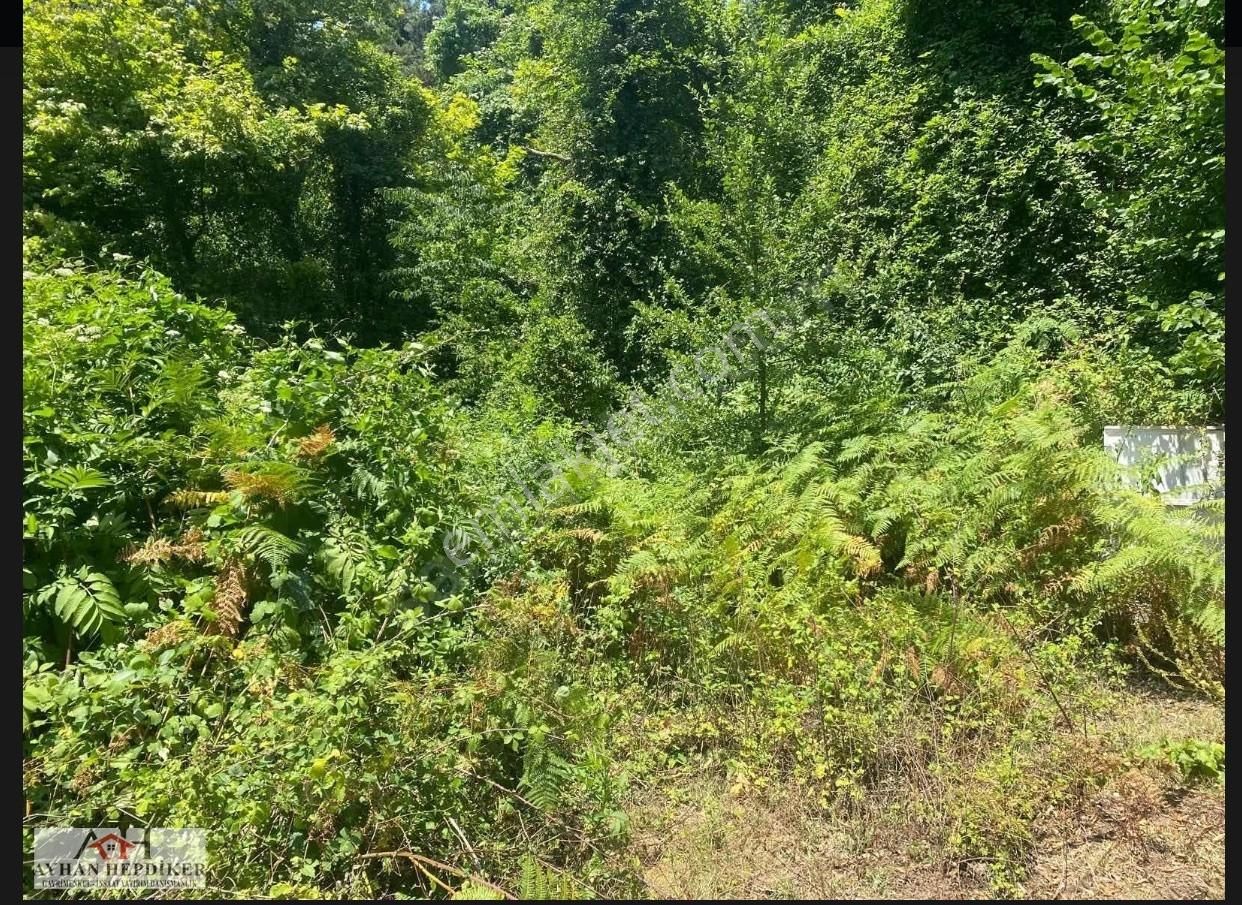 Ayhan Hepdiker Den Geyve Nuriosmaniyede 18000 M2 Harika Konumda - Görsel 15