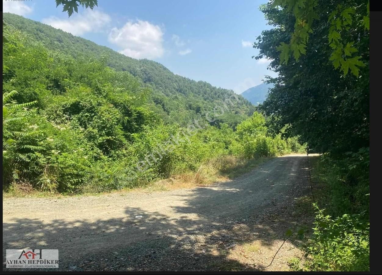 Ayhan Hepdiker Den Geyve Nuriosmaniyede 18000 M2 Harika Konumda - Görsel 4