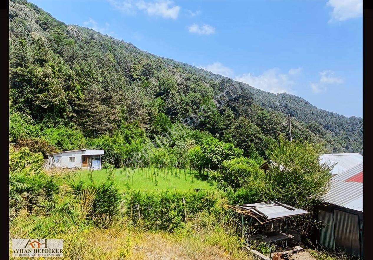 Ayhan Hepdiker Den Geyve Nuriosmaniyede 18000 M2 Harika Konumda - Görsel 10