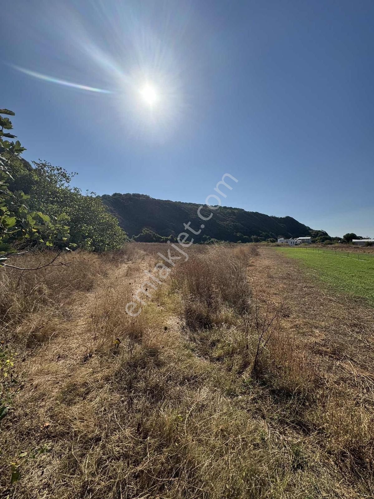 Biensten Mudanya Eğercede Denize 200 Metre Mesafede Tarla - Görsel 4