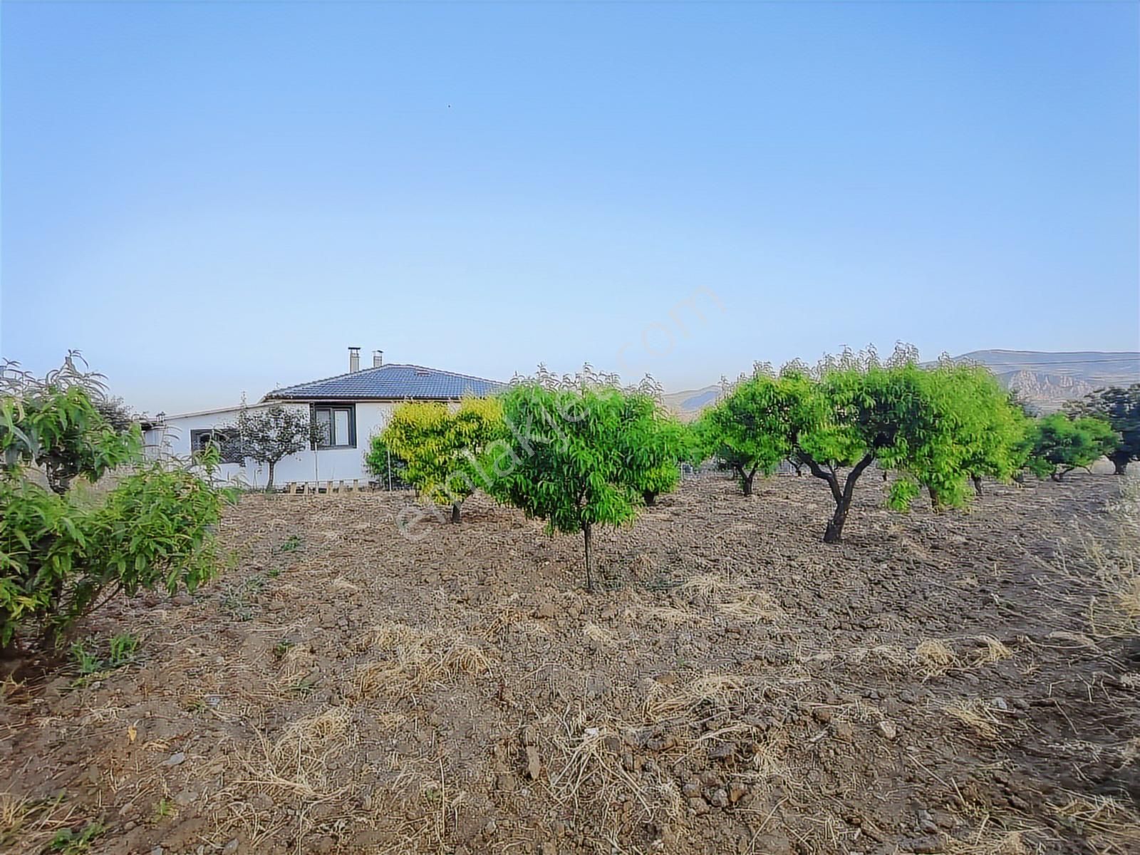 Emirseyit Bahçelievlerde Kanal Yanında Su, Elektrik Mevcut Tarla