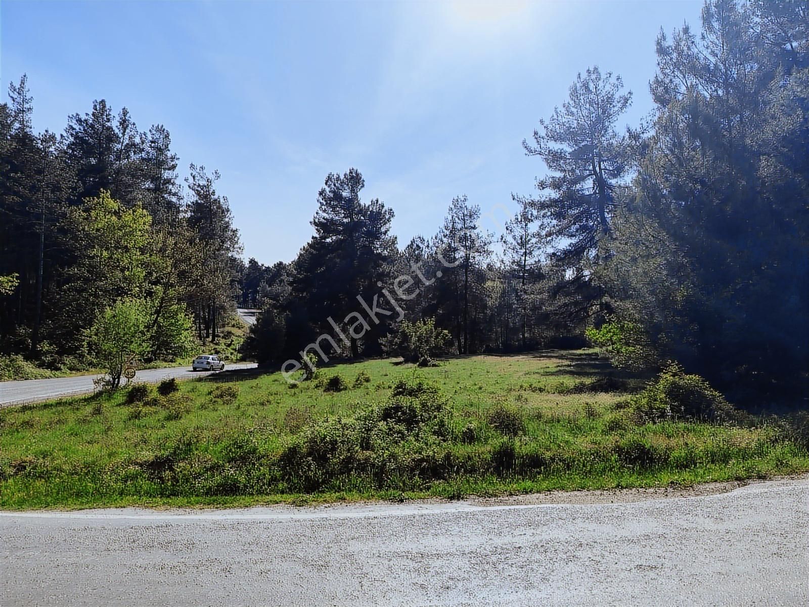 Yatırımcıya Fırsat!orhanelide Ormanın İçinde 14-18 Villalık Arsa - Görsel 30