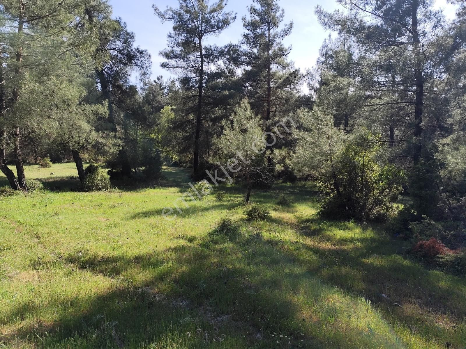 Yatırımcıya Fırsat!orhanelide Ormanın İçinde 14-18 Villalık Arsa - Görsel 31