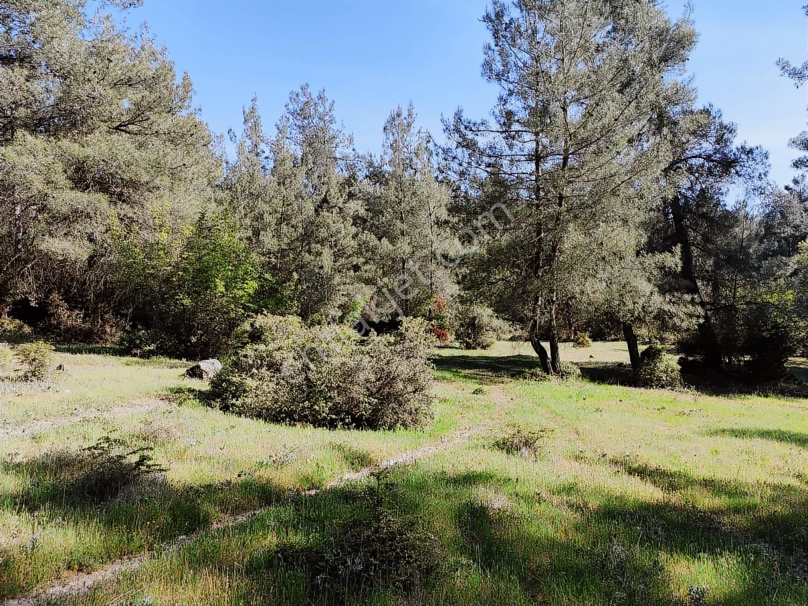 Yatırımcıya Fırsat!orhanelide Ormanın İçinde 14-18 Villalık Arsa - Görsel 29