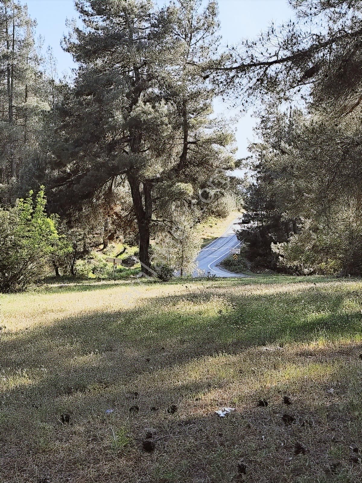 Yatırımcıya Fırsat!orhanelide Ormanın İçinde 14-18 Villalık Arsa - Görsel 28