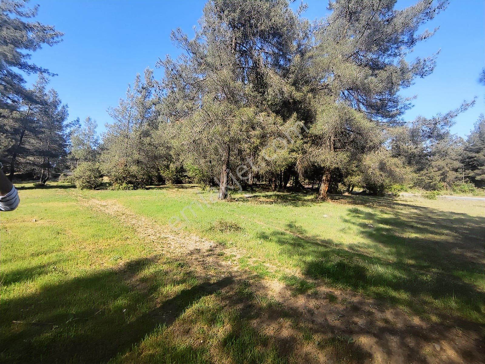 Yatırımcıya Fırsat!orhanelide Ormanın İçinde 14-18 Villalık Arsa - Görsel 27