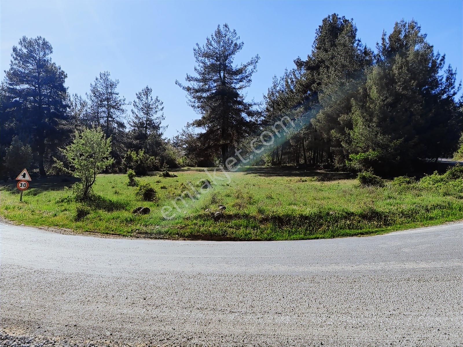 Yatırımcıya Fırsat!orhanelide Ormanın İçinde 14-18 Villalık Arsa - Görsel 18