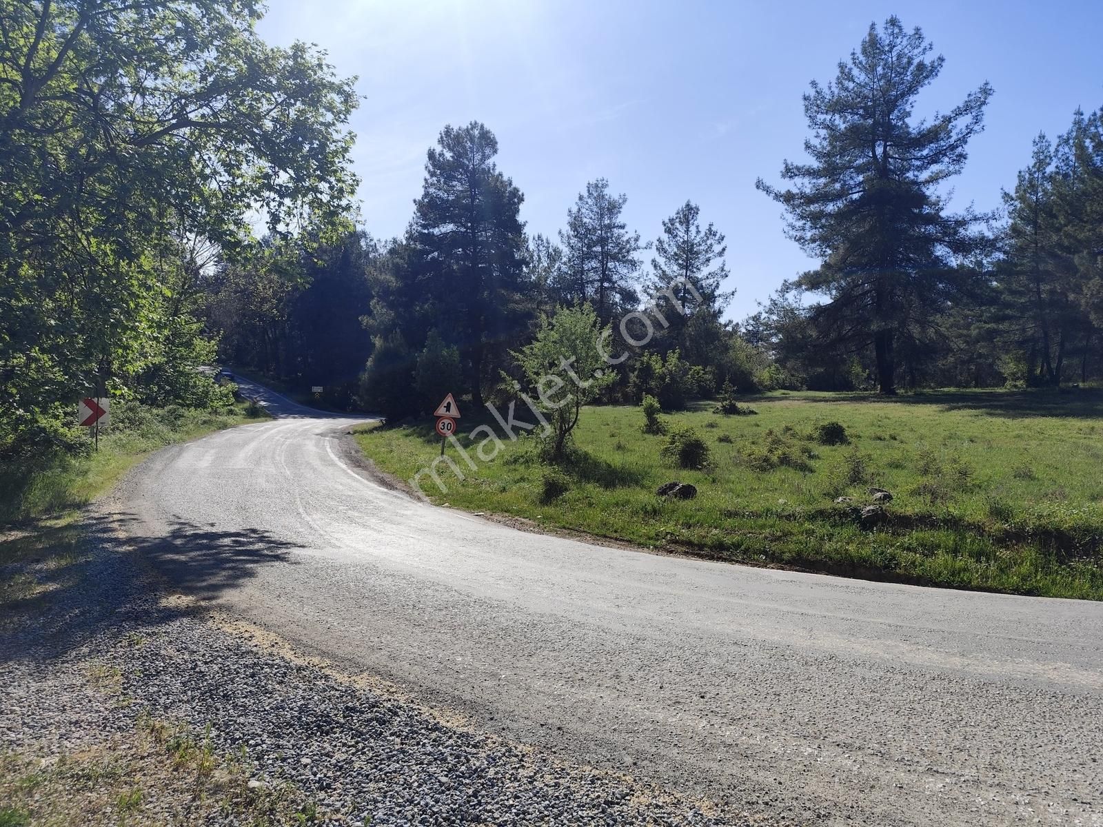 Yatırımcıya Fırsat!orhanelide Ormanın İçinde 14-18 Villalık Arsa - Görsel 6