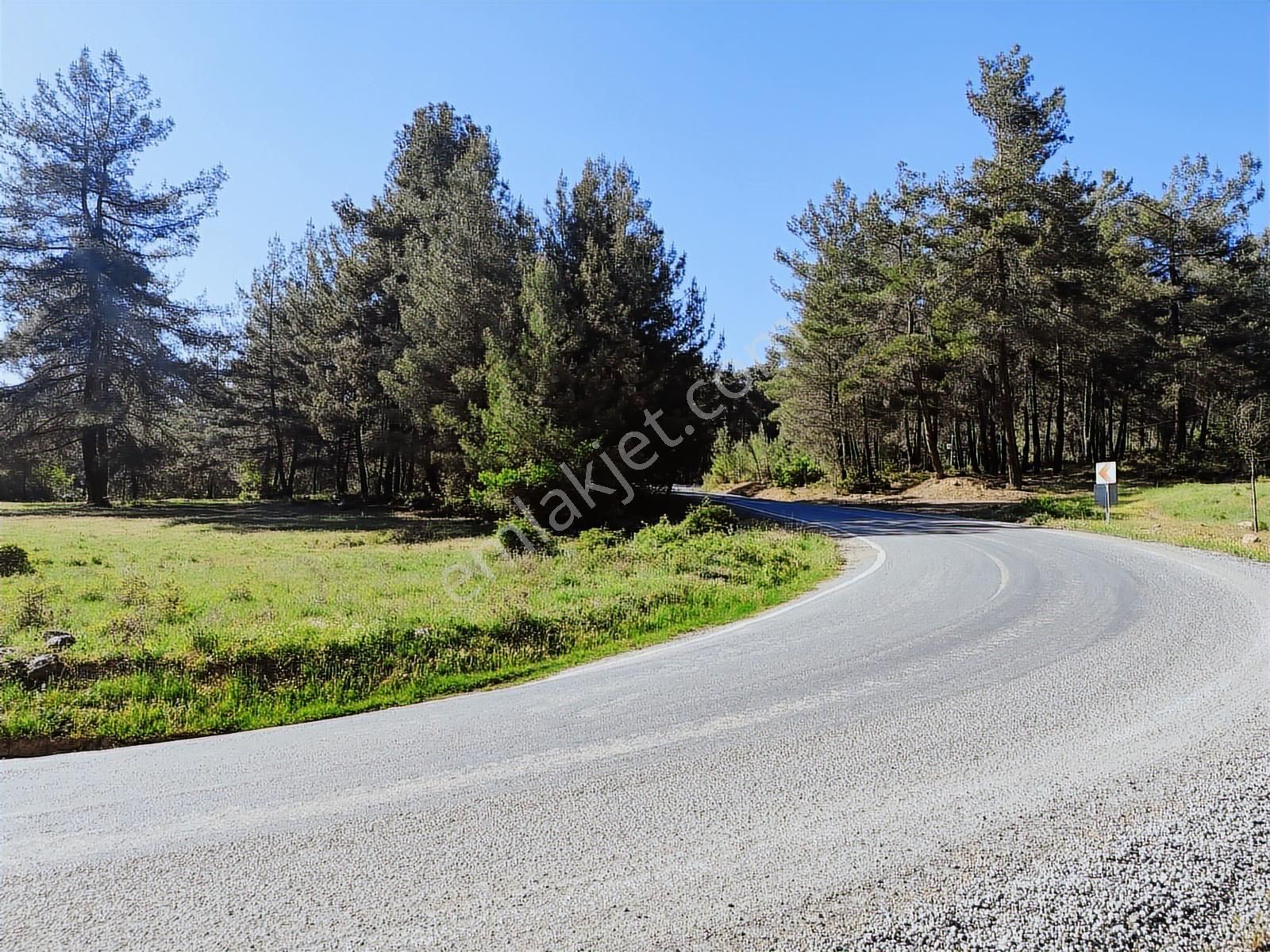 Yatırımcıya Fırsat!orhanelide Ormanın İçinde 14-18 Villalık Arsa - Görsel 21