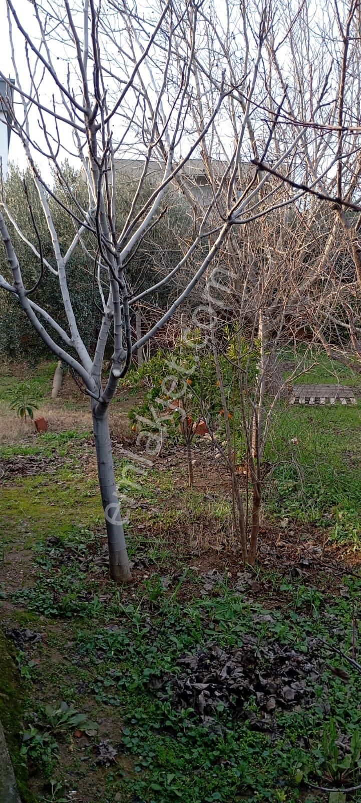 Bahçelievlerde Fırsat Arsa//villa'lık//6 Dairelik - Görsel 3