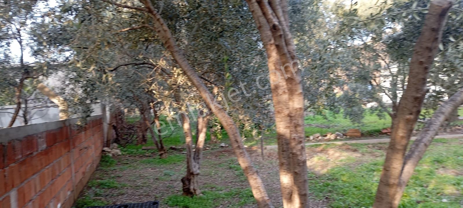 Bahçelievlerde Fırsat Arsa//villa'lık//6 Dairelik - Görsel 9