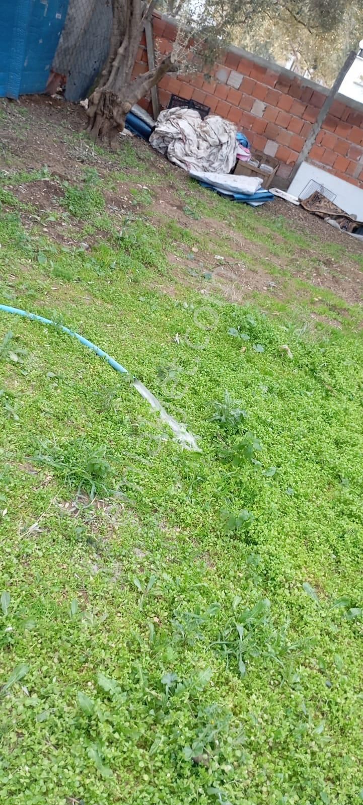 Bahçelievlerde Fırsat Arsa//villa'lık//6 Dairelik - Görsel 7