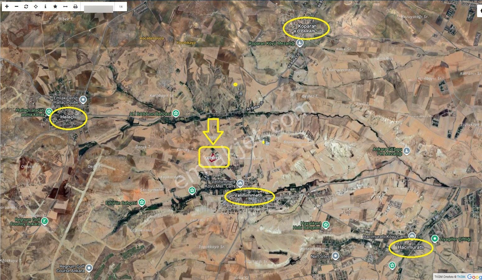 Gölbaşı Velihimmetli Köy Yanı 13.538m2 Tek Tapu Tarla Krdnz Emlk - Görsel 5