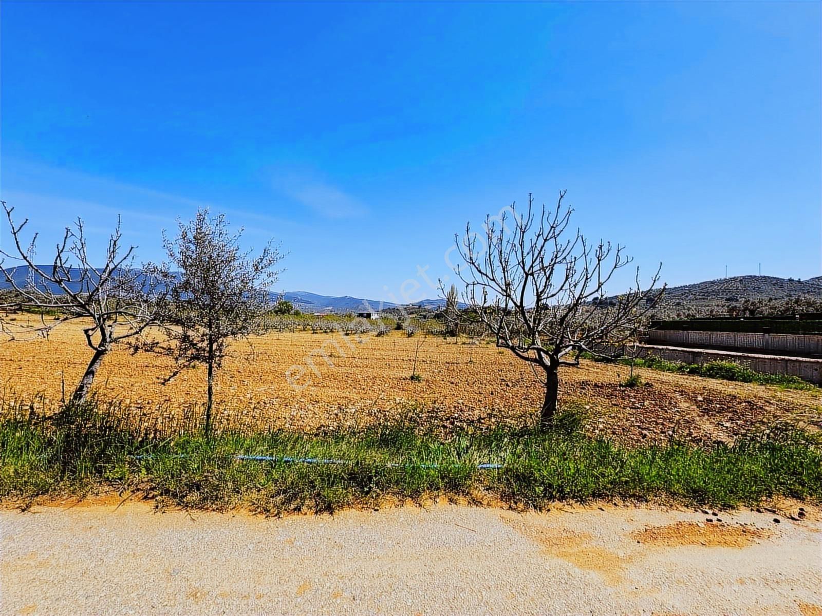 3m Prime'dan Torbalı Çakırbeyli'de Satılık 9480m2 Köy İçi Arsa - Görsel 6