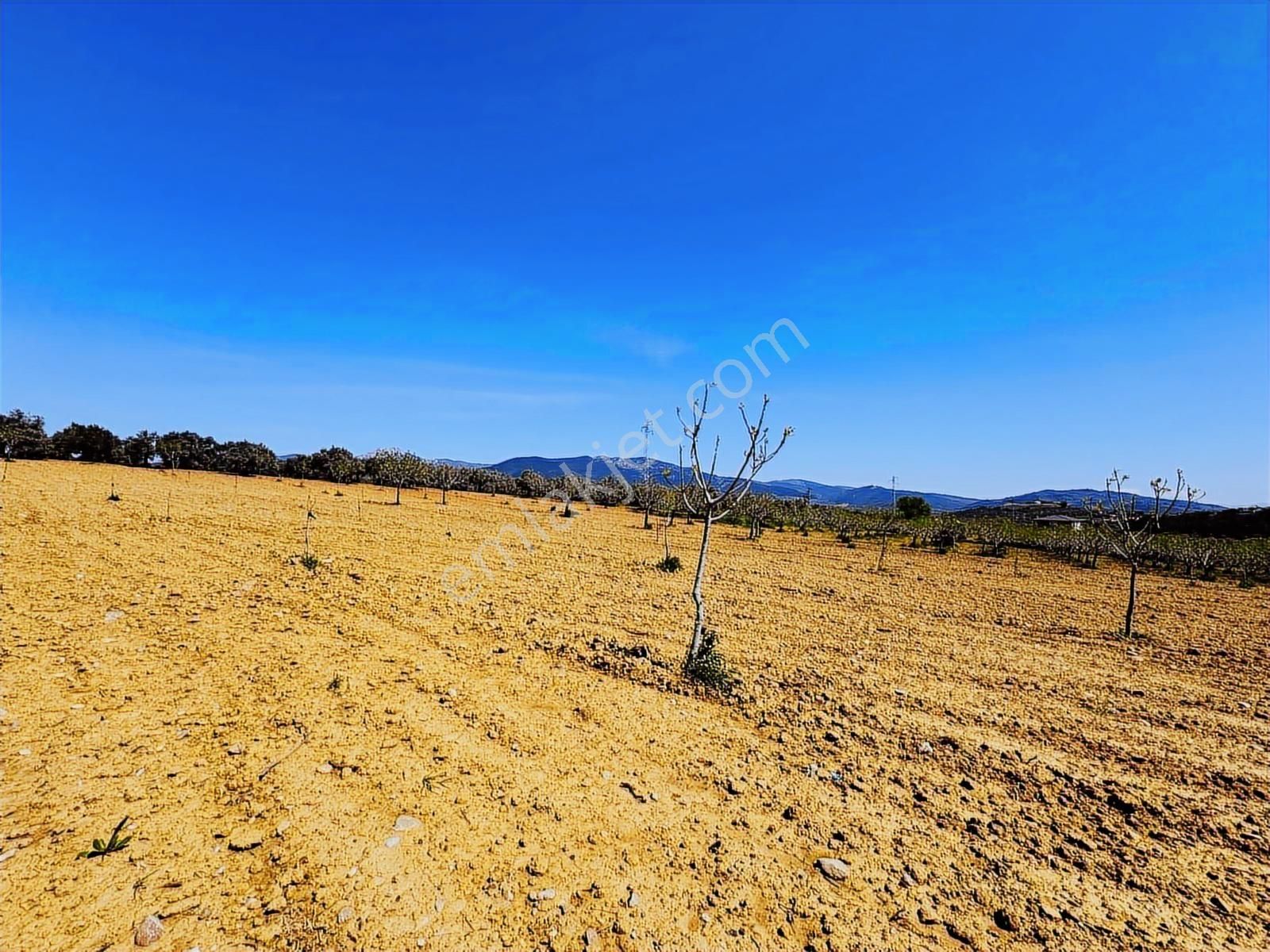 3m Prime'dan Torbalı Çakırbeyli'de Satılık 9480m2 Köy İçi Arsa - Görsel 19