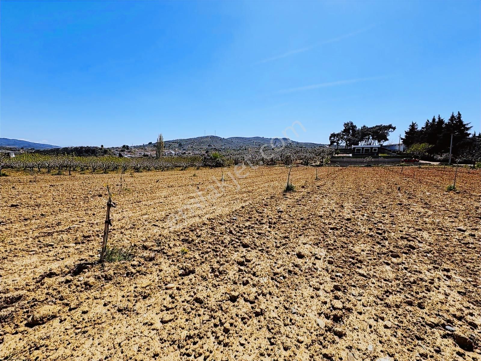 3m Prime'dan Torbalı Çakırbeyli'de Satılık 9480m2 Köy İçi Arsa - Görsel 11