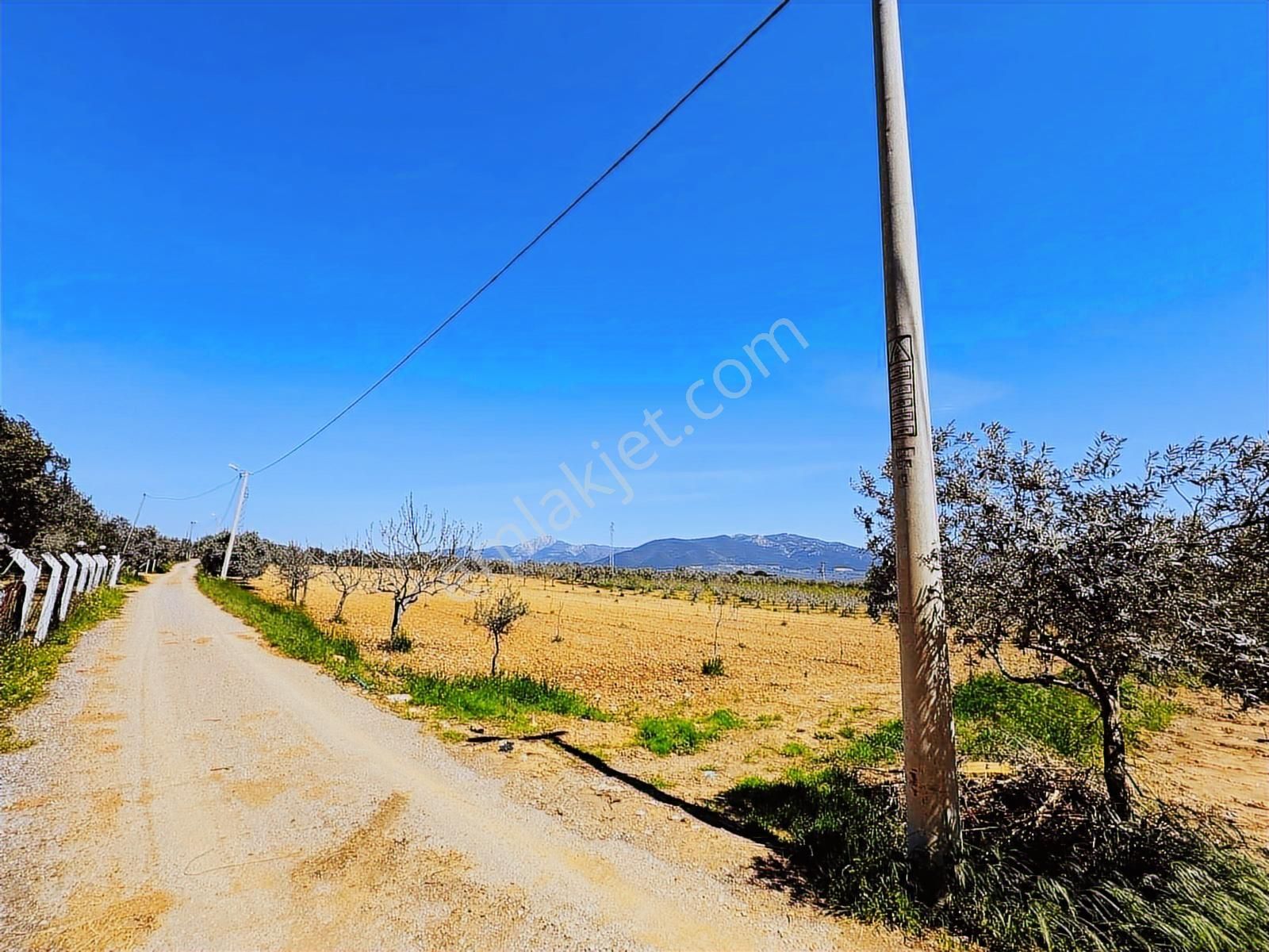 3m Prime'dan Torbalı Çakırbeyli'de Satılık 9480m2 Köy İçi Arsa - Görsel 18