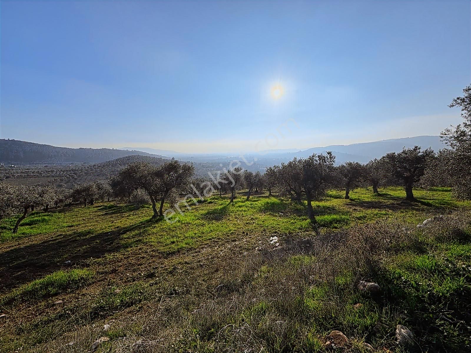 3m Prime'dan Torbalı Karakızlar'da Satılık 40.700m2 Fırsat Tarla