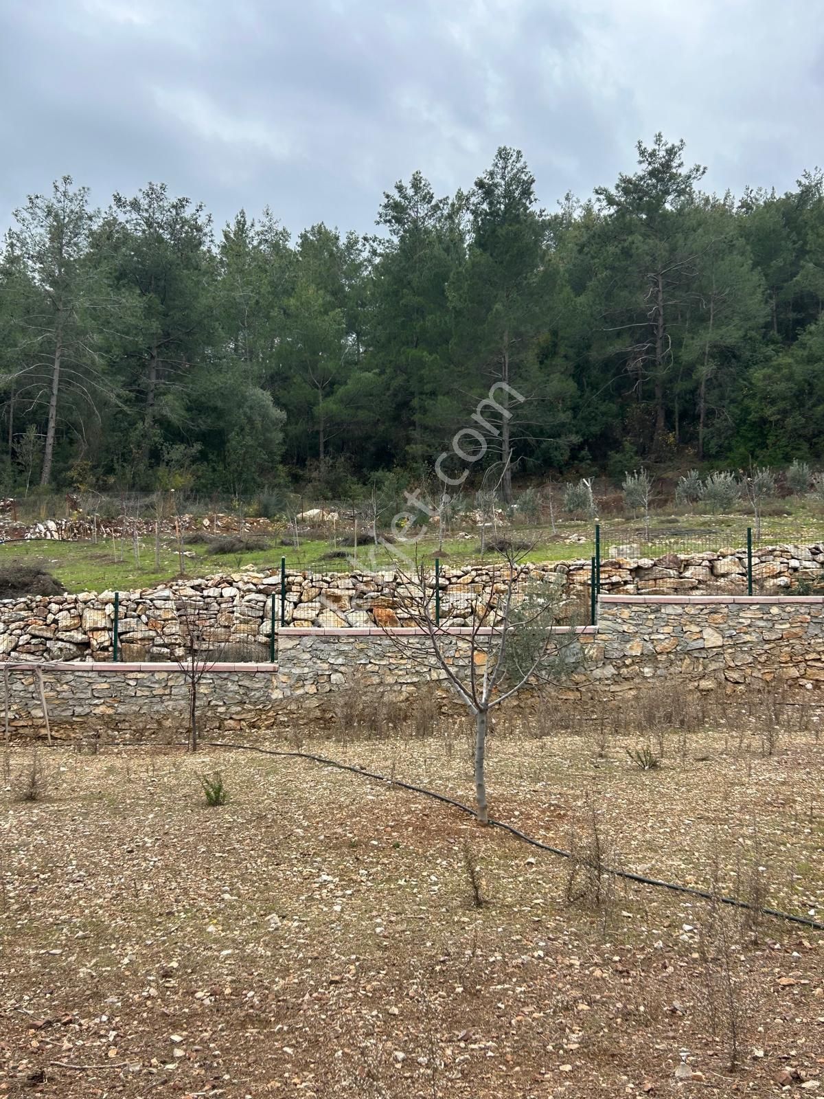 2 Katlı Lüx Müstakil Ve 3800 M2 Kullanım Alanı - Görsel 15