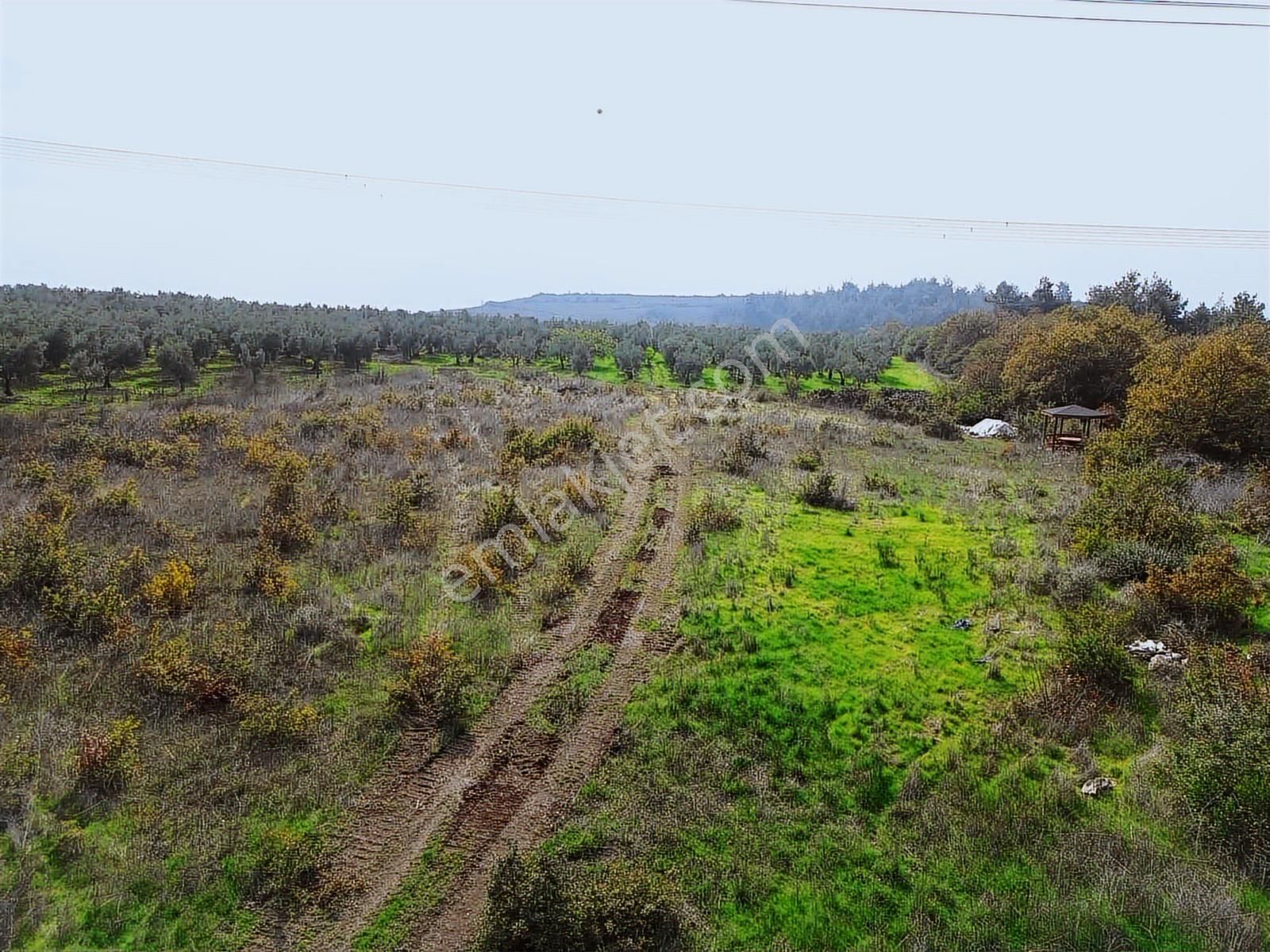 Mudanya / Yaylacık'ta 3.700 M² Kaçırılmayacak Fırsat Tarla - Görsel 2