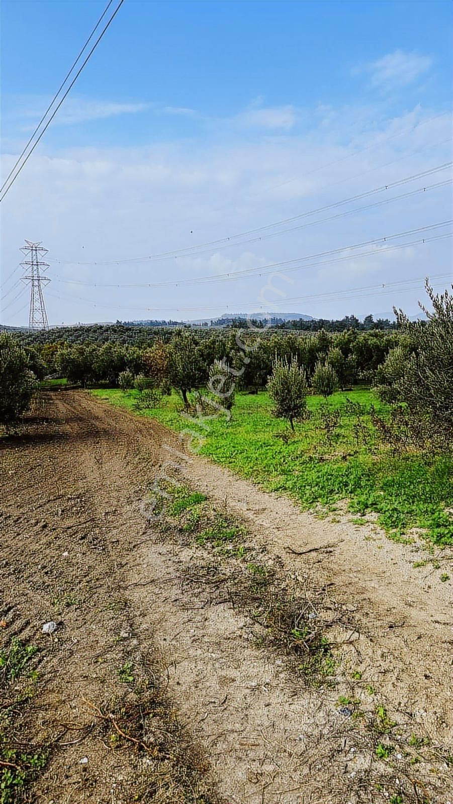 Mudanya / Yaylacık'ta 3.700 M² Kaçırılmayacak Fırsat Tarla - Görsel 6