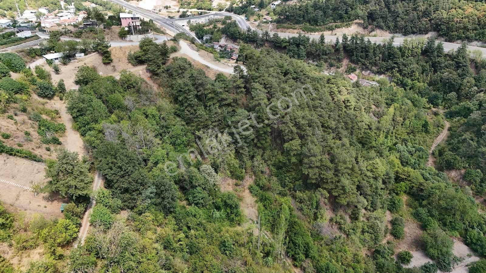 Doğancı Da Köye Yakın Konumda Satılık Küçük Parsel - Görsel 18