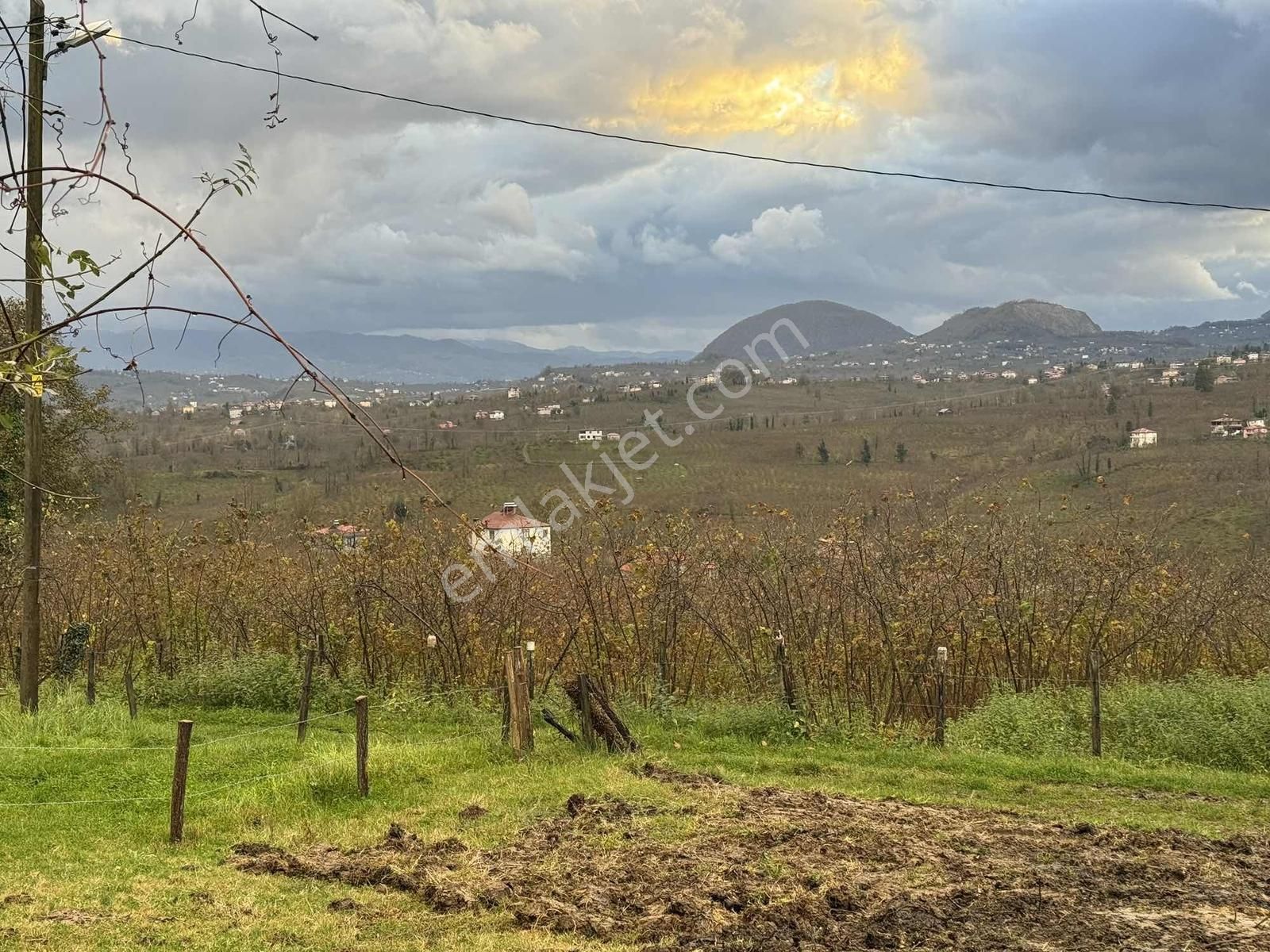 Vizyon'dan Çavuşlar Satılık Müstakil Parsel - Görsel 2