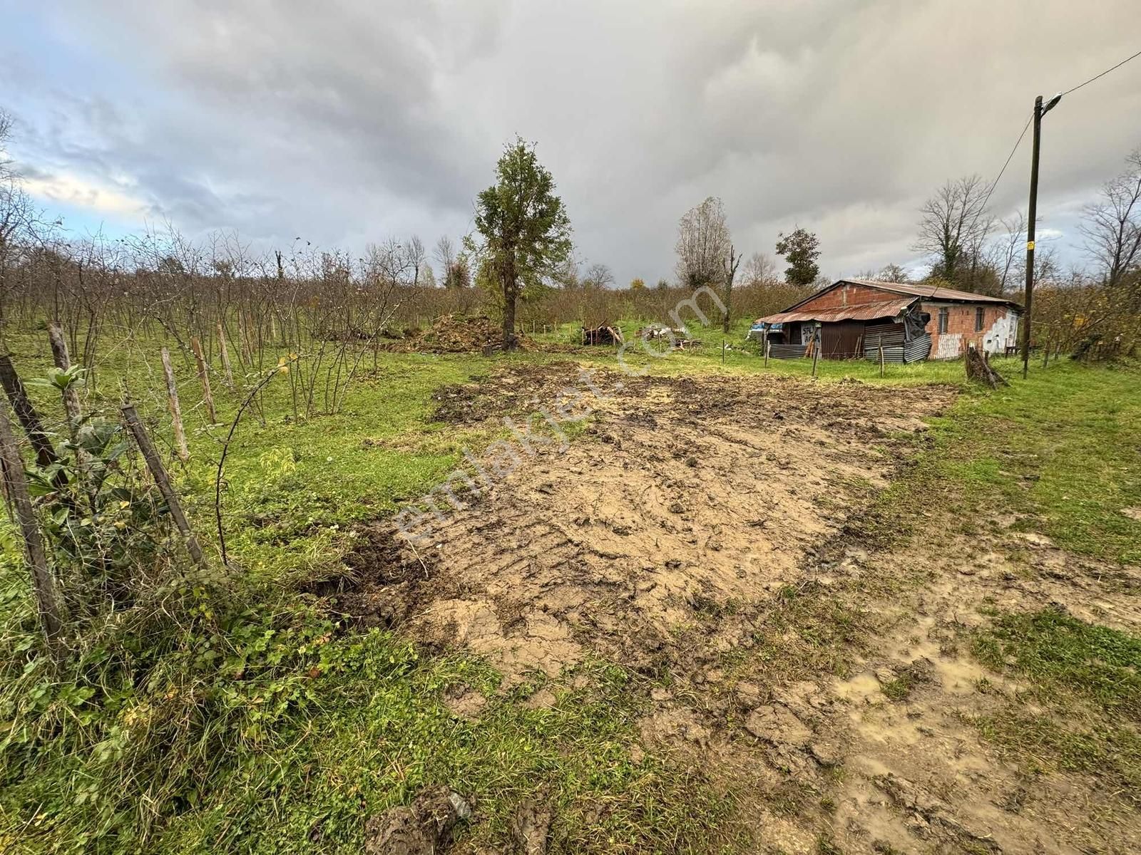 Vizyon'dan Çavuşlar Satılık Müstakil Parsel