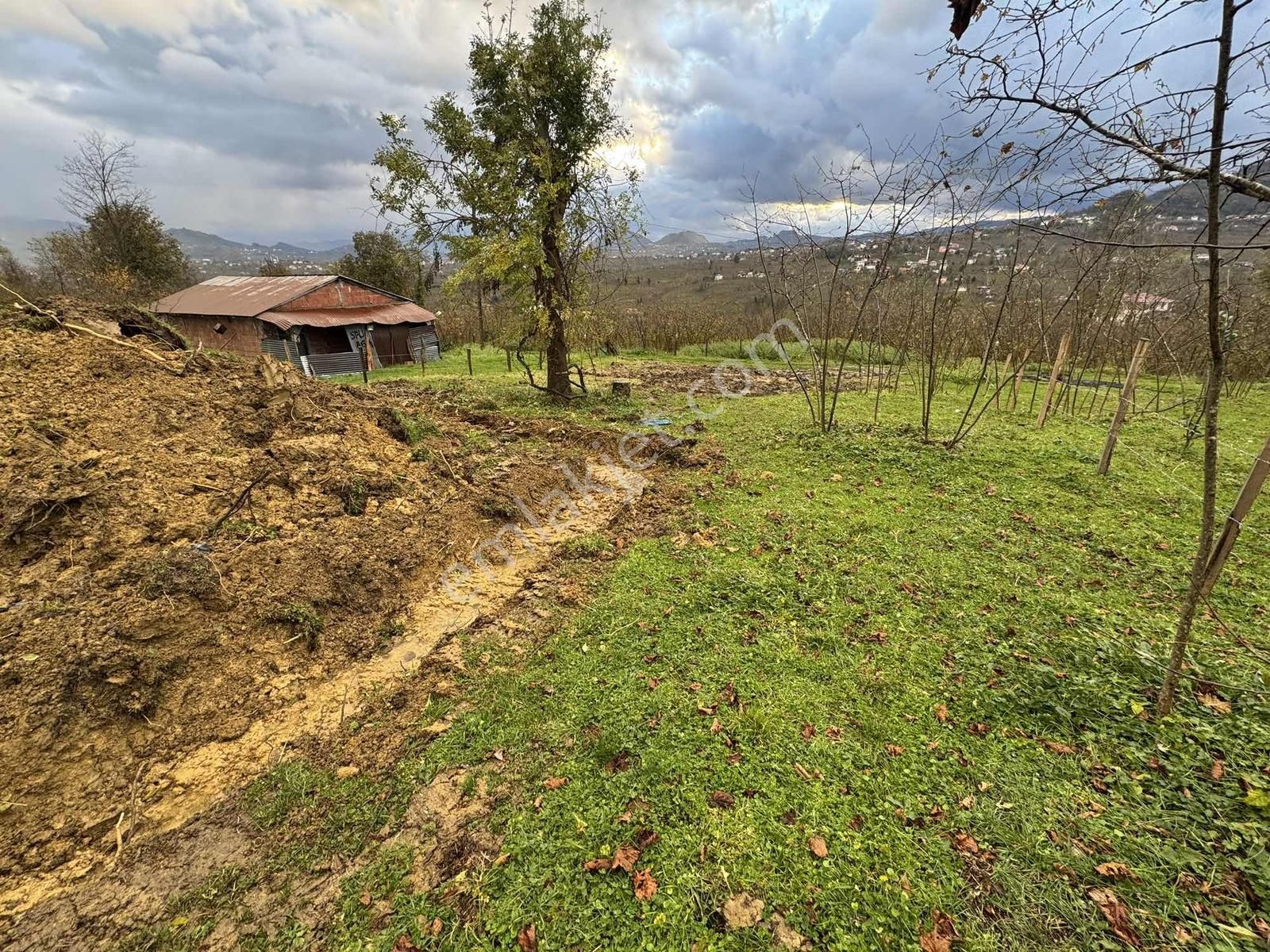 Vizyon'dan Çavuşlar Satılık Müstakil Parsel - Görsel 7