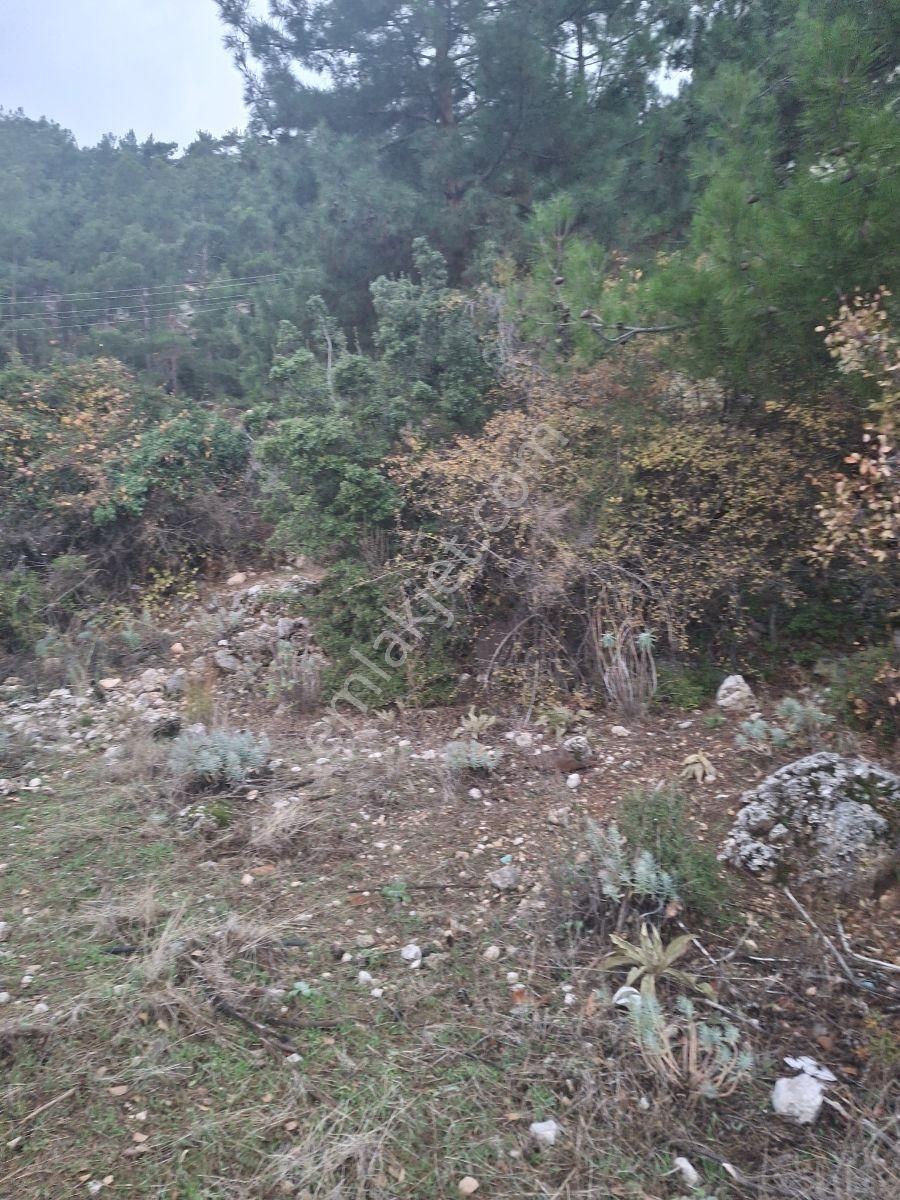 Antalya Konyaaltı Çağlarcada Antalya Manzaralı 985 M2 Arsa - Görsel 29
