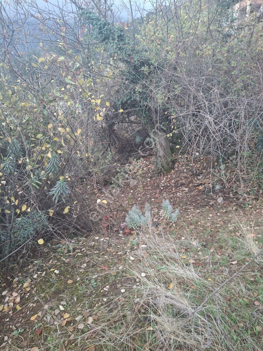 Antalya Konyaaltı Çağlarcada Antalya Manzaralı 985 M2 Arsa - Görsel 23