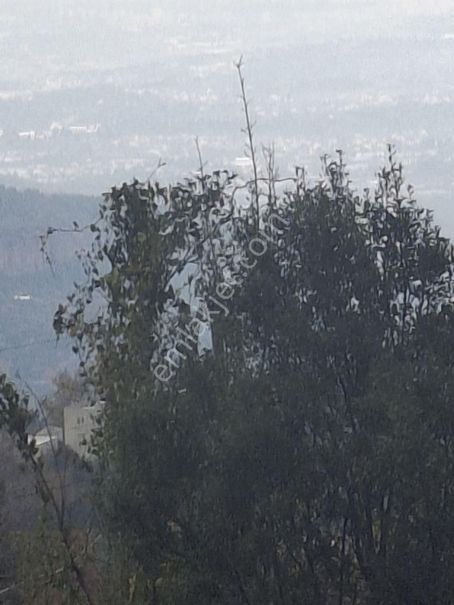 Antalya Konyaaltı Çağlarcada Antalya Manzaralı 985 M2 Arsa - Görsel 21