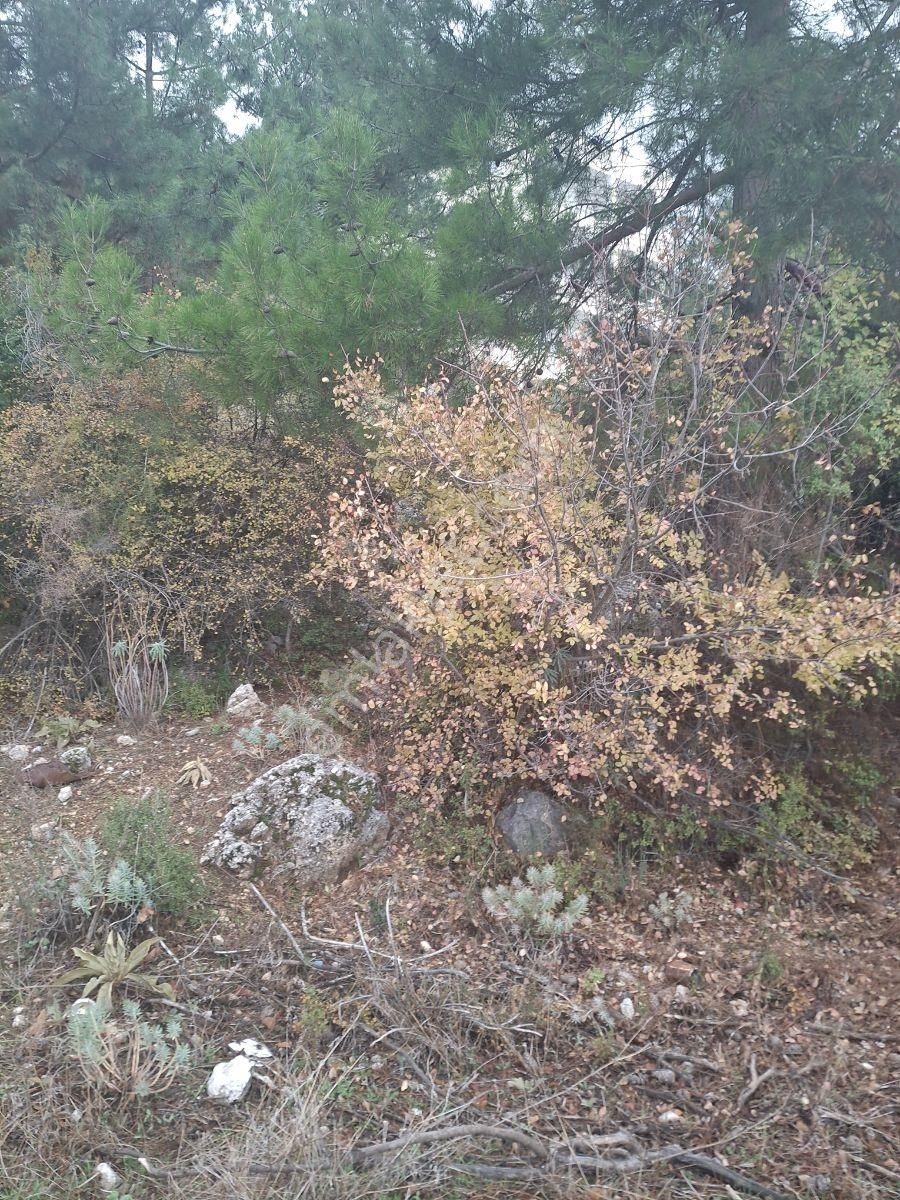 Antalya Konyaaltı Çağlarcada Antalya Manzaralı 985 M2 Arsa - Görsel 28