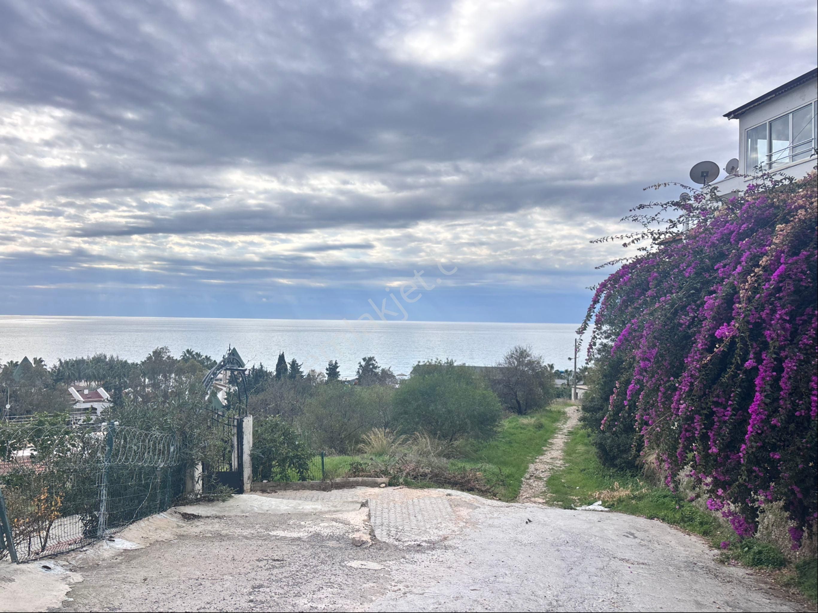 Alanya İncekumda Deniz Mazaralı İmarlı 501 M2 Satılık Villa Arsası - Görsel 2