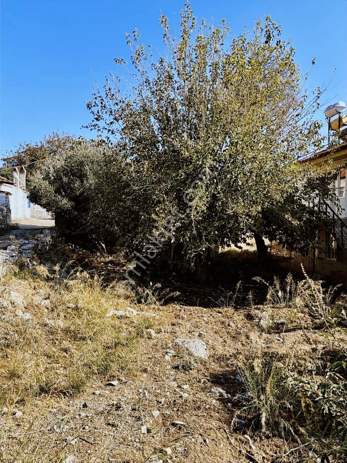 Milas Ulaş Mah Satılık Köy İçi Arsa - Görsel 4