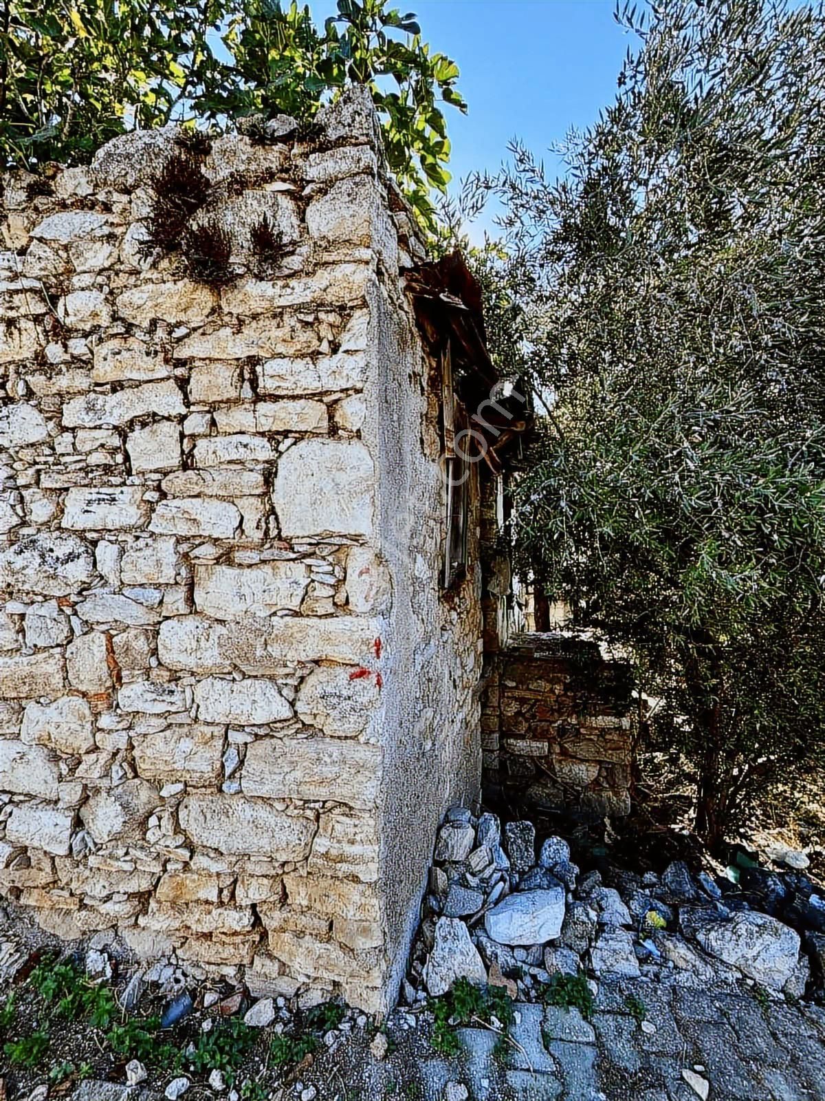 Milas Ulaş Mah Satılık Köy İçi Arsa - Görsel 8