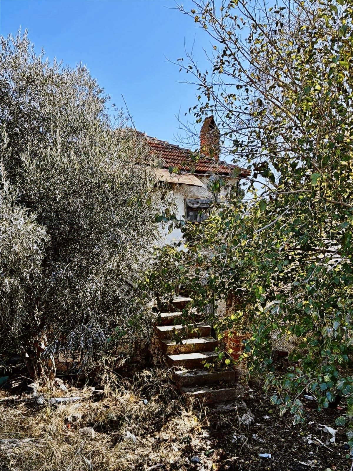 Milas Ulaş Mah Satılık Köy İçi Arsa - Görsel 11