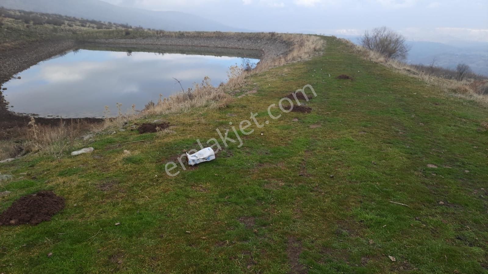 Satılık Tarla Güdül Garipçe Mah. 3860 M2 - Görsel 6