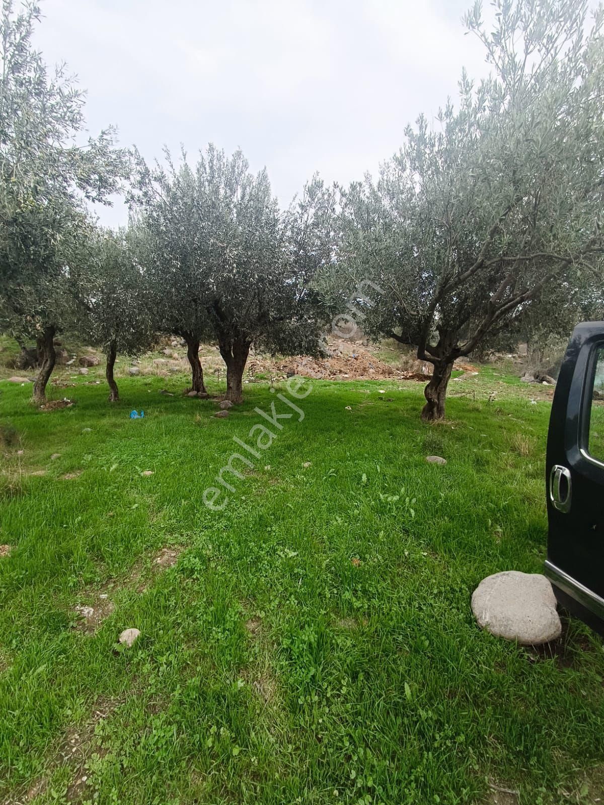 Görece Köyü Merkez Yatırımlık Arsa - Görsel 11