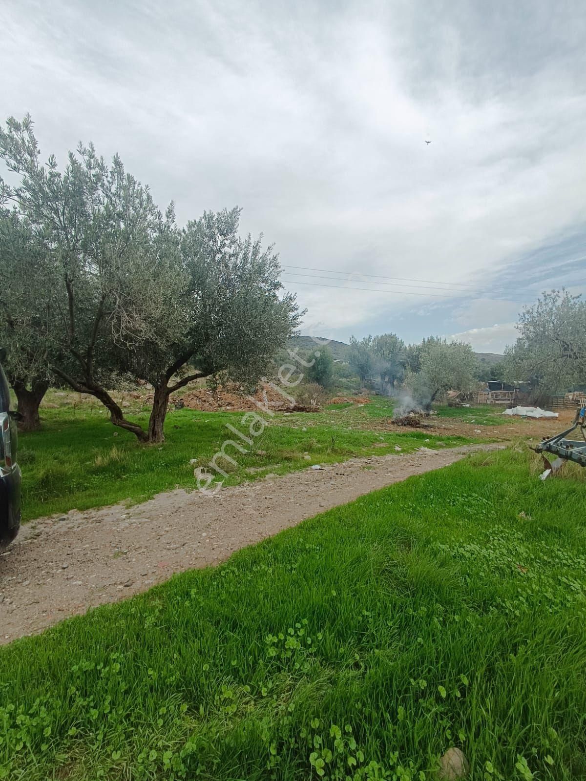 Görece Köyü Merkez Yatırımlık Arsa - Görsel 13