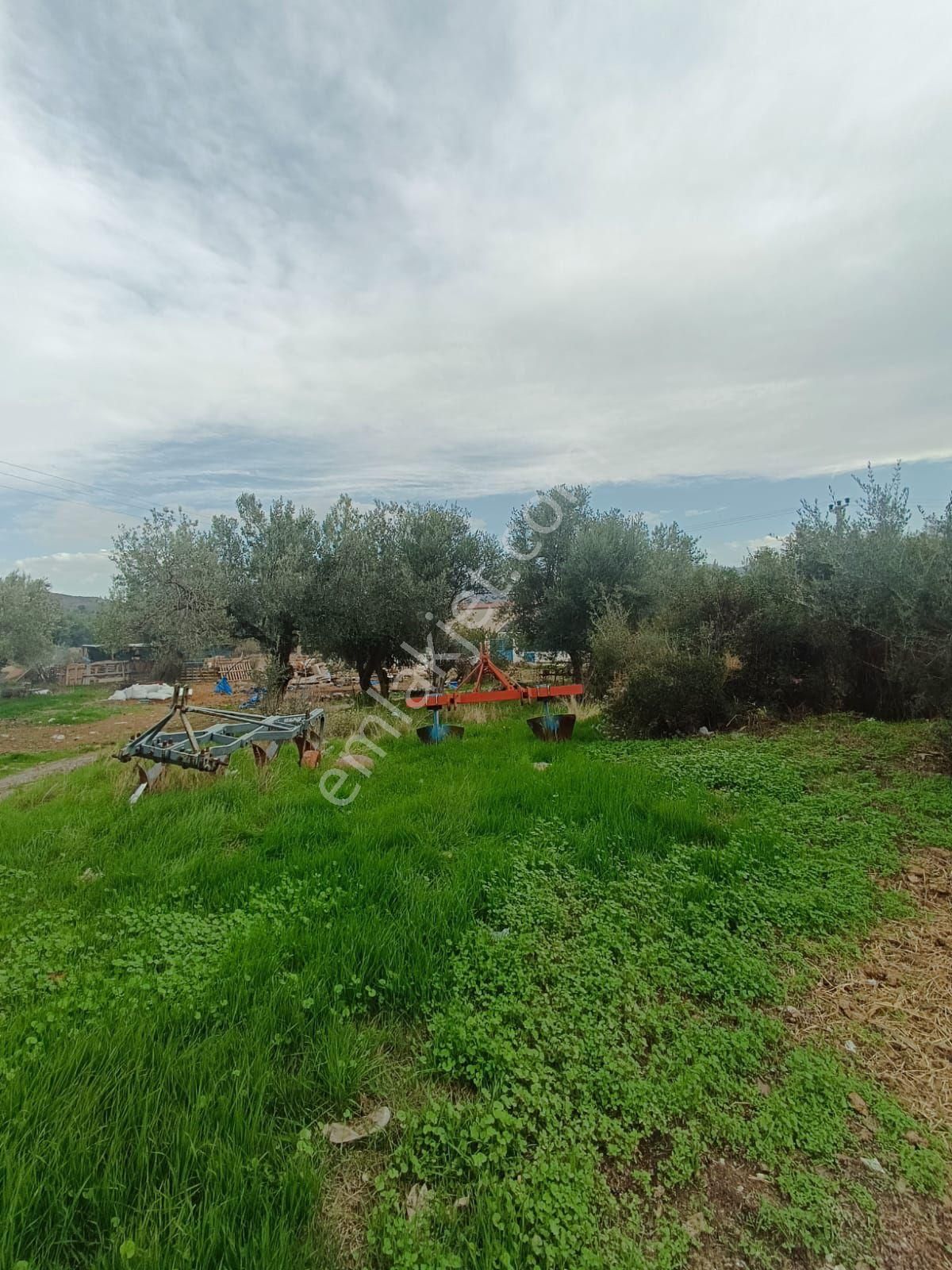 Görece Köyü Merkez Yatırımlık Arsa - Görsel 12