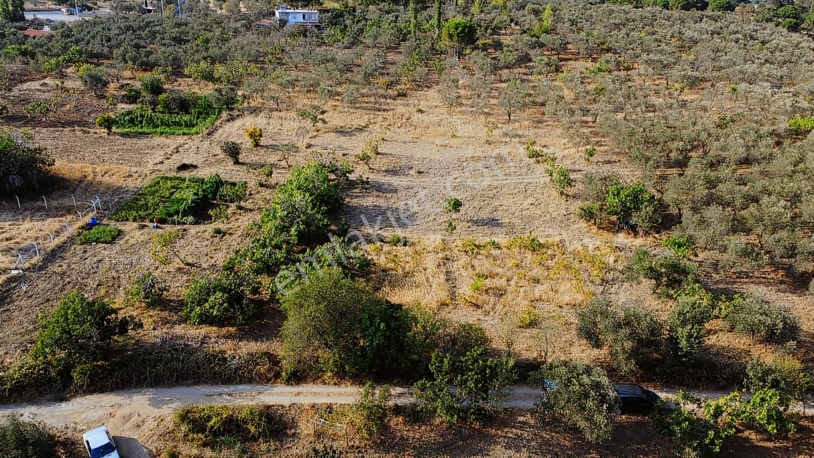 Erim'den Satılık Edremit Hacıaslanlar Köyünde 5865m² Zeytinlik - Görsel 17