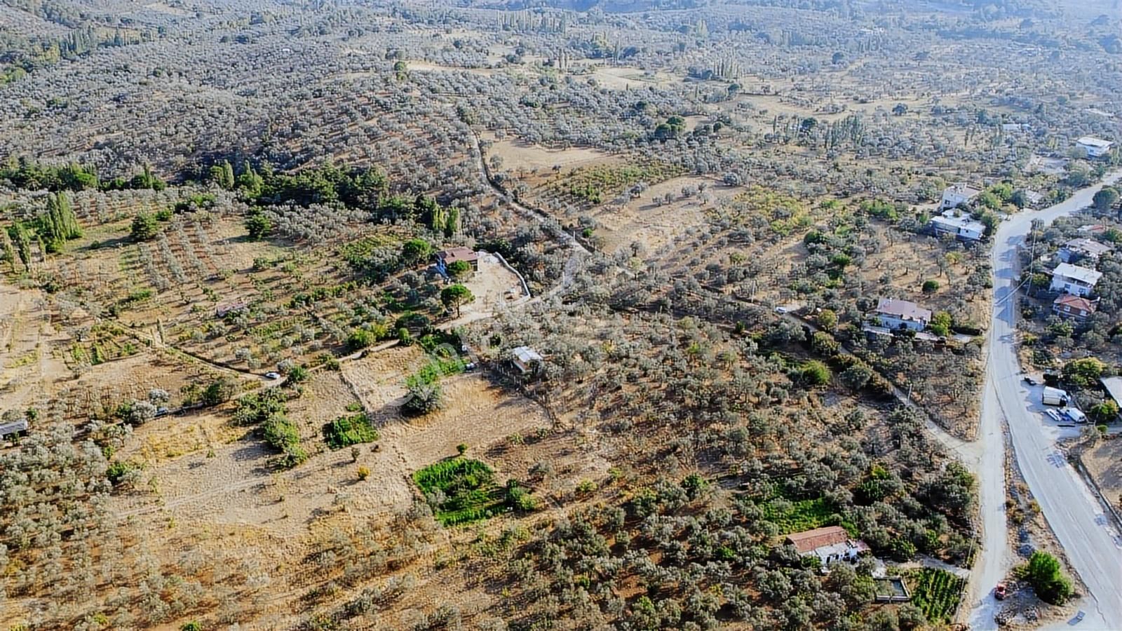 Erim'den Satılık Edremit Hacıaslanlar Köyünde 5865m² Zeytinlik - Görsel 12