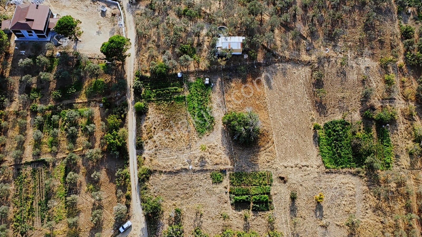 Erim'den Satılık Edremit Hacıaslanlar Köyünde 5865m² Zeytinlik