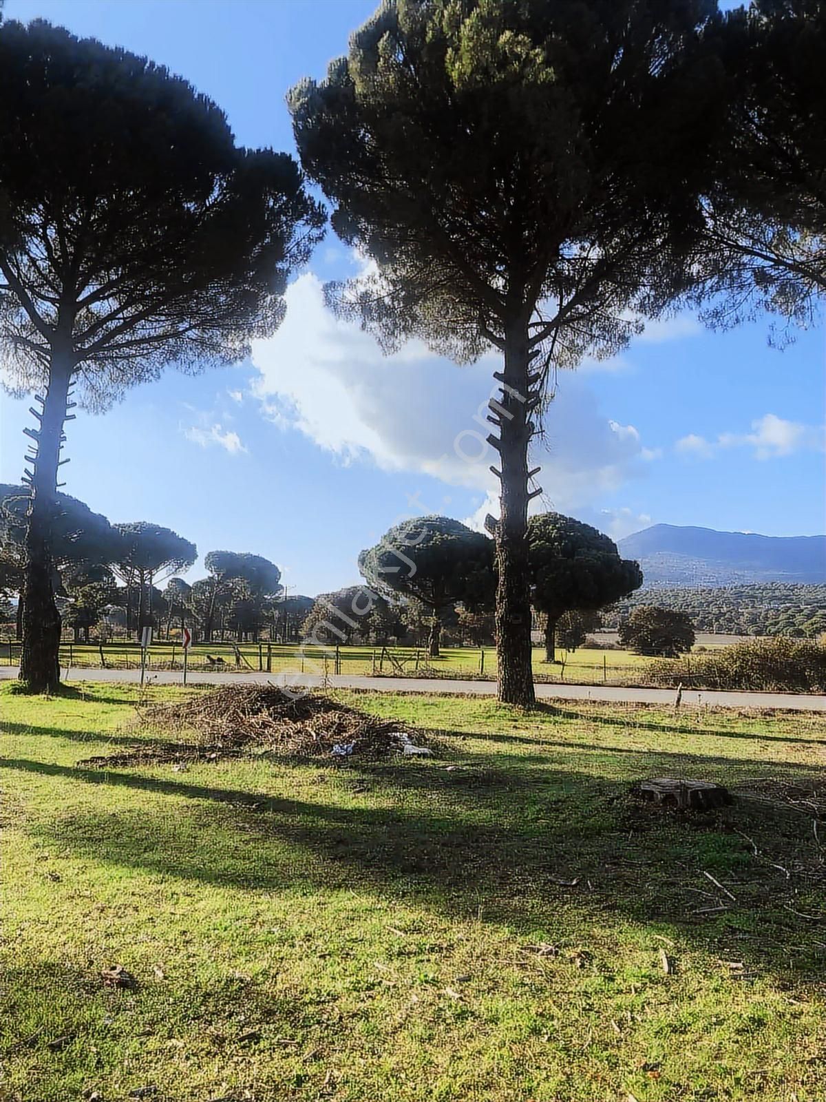 Route 10 Gayrimenkul'den Satılık Fıstıklık - Görsel 6