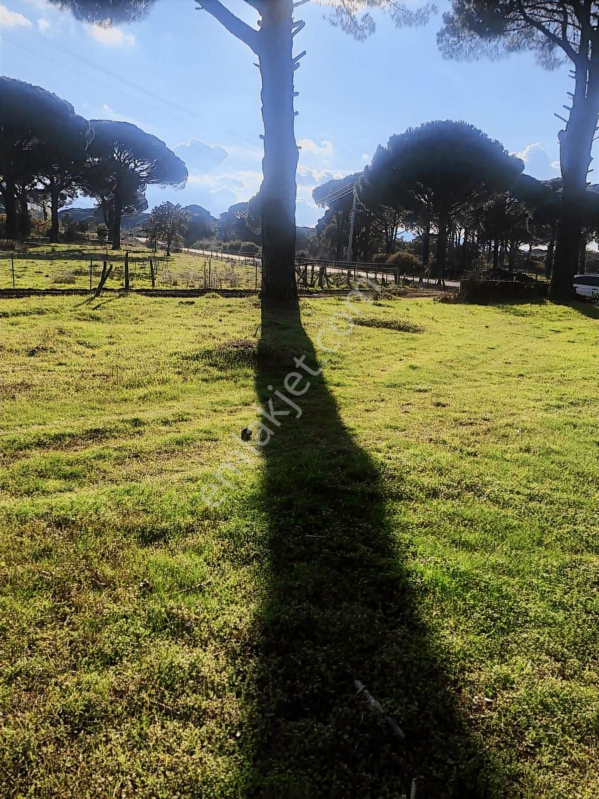 Route 10 Gayrimenkul'den Satılık Fıstıklık - Görsel 12