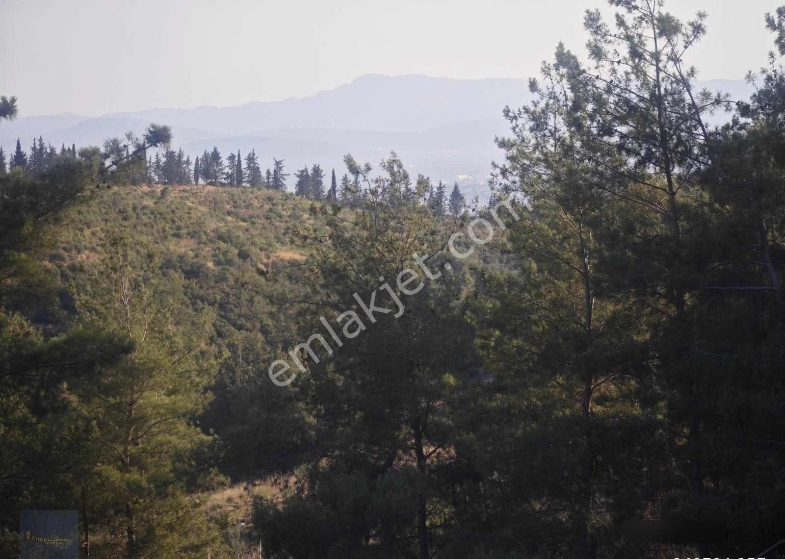 Torbalı Demirci De Eşsiz Manzaraya Sahip 13.300 M2 Zeytinlik.