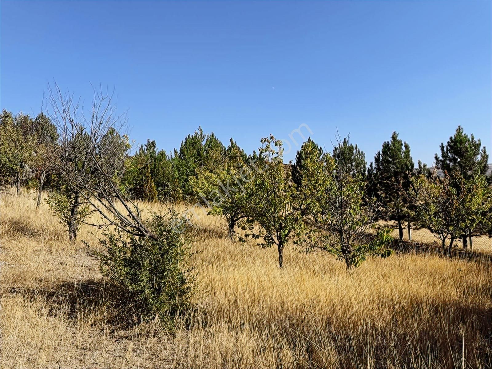 Müstakil Evli 770 M İmarlı Arsa Elektrik Su Var - Görsel 23