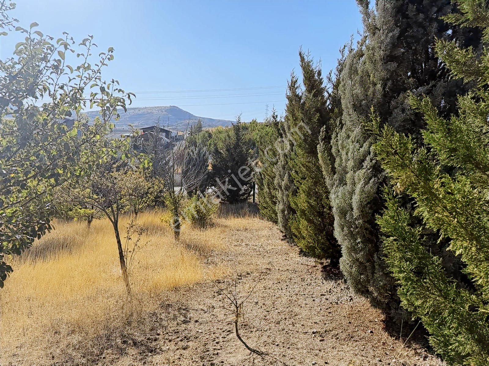 Müstakil Evli 770 M İmarlı Arsa Elektrik Su Var - Görsel 12